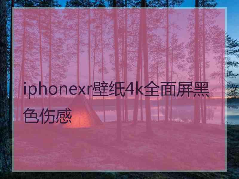 iphonexr壁纸4k全面屏黑色伤感