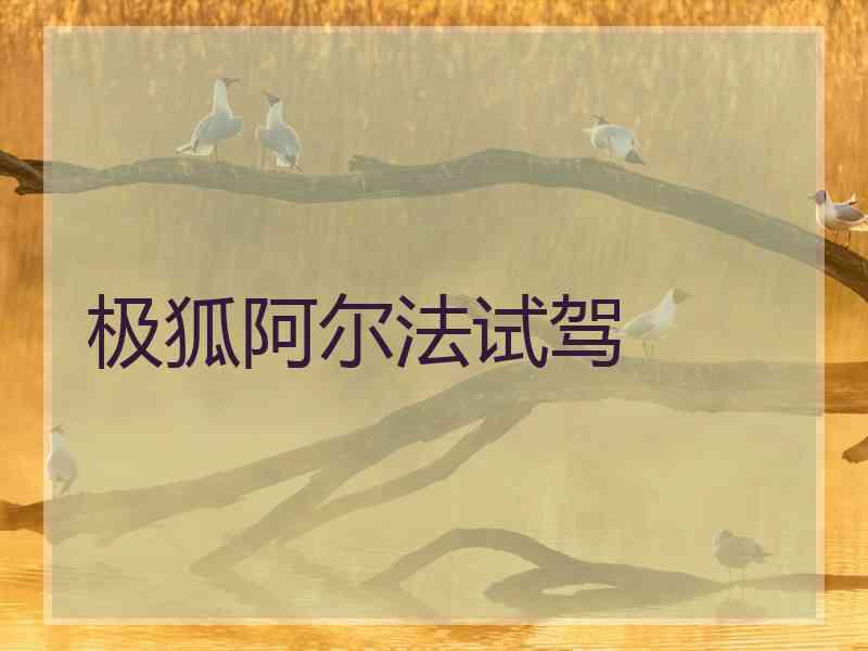 极狐阿尔法试驾