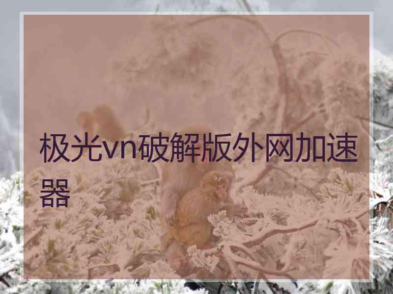 极光vn破解版外网加速器