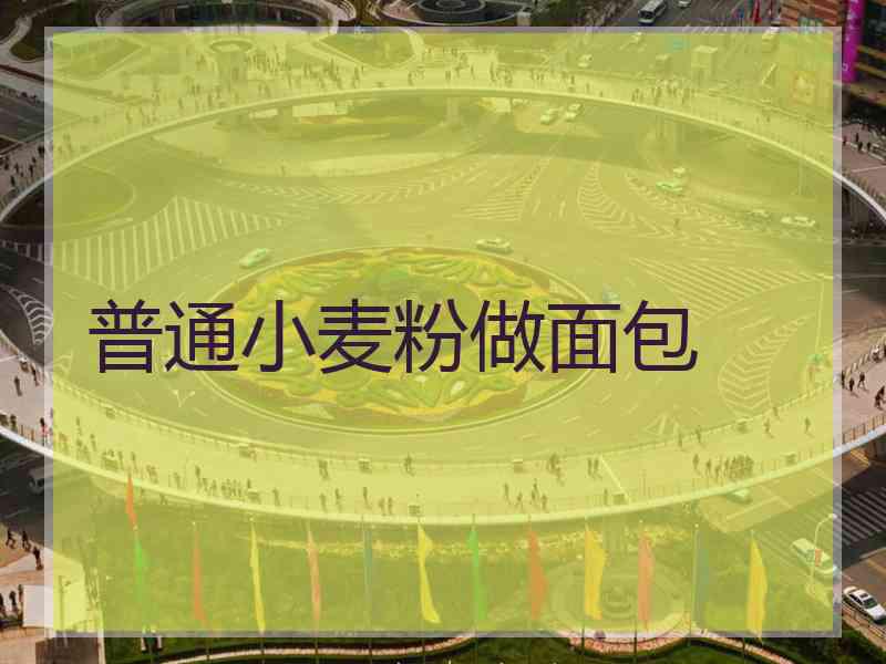 普通小麦粉做面包