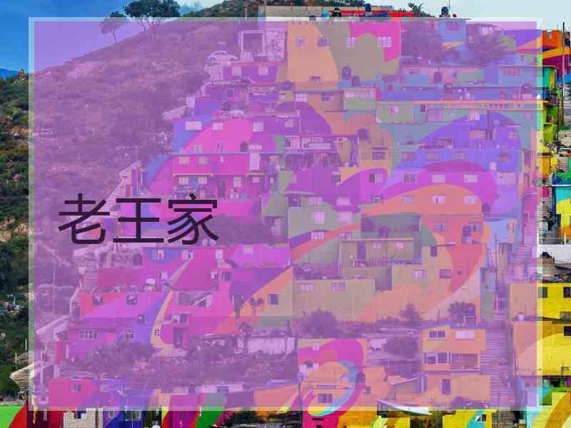 老王家