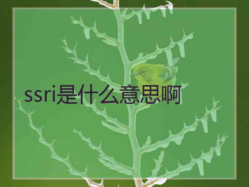 ssri是什么意思啊