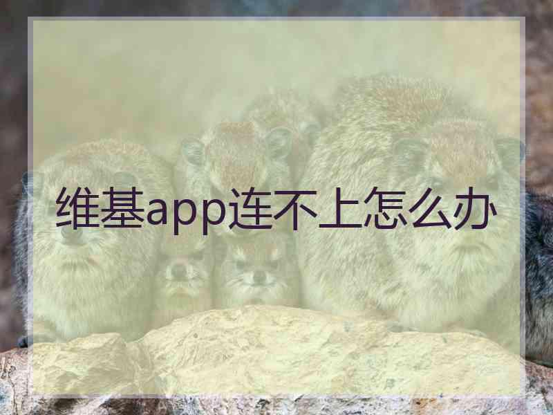 维基app连不上怎么办