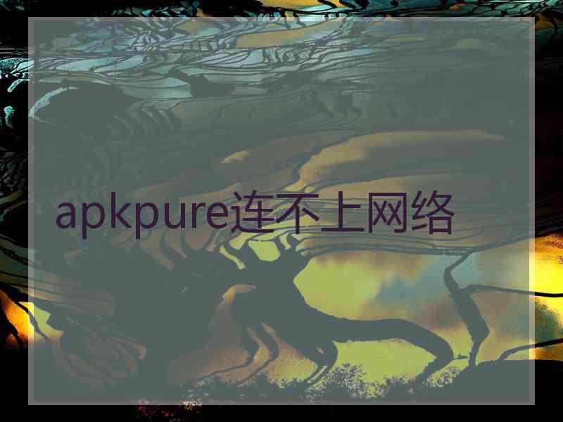 apkpure连不上网络