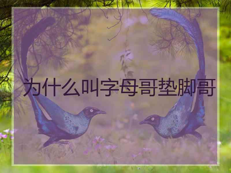 为什么叫字母哥垫脚哥