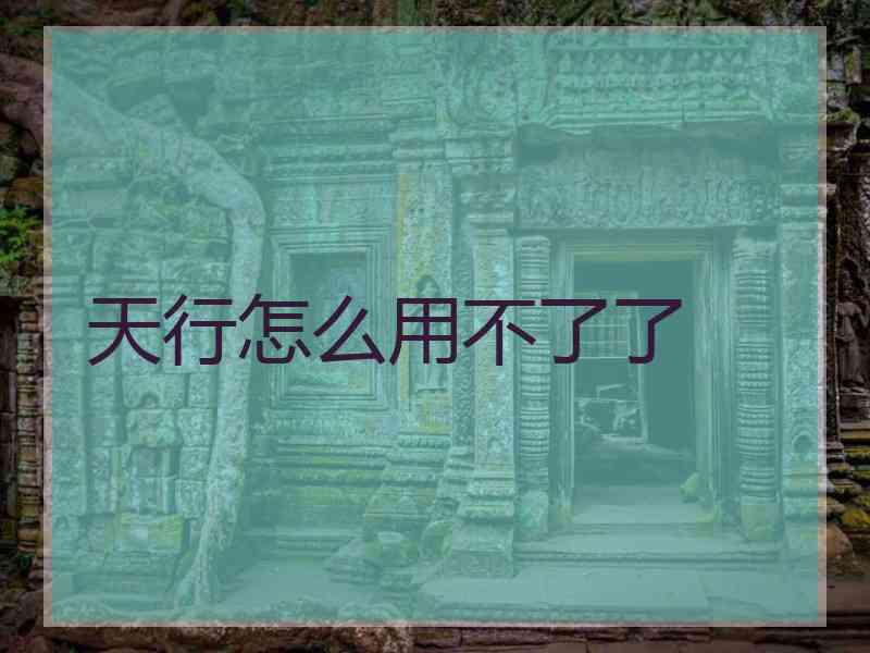 天行怎么用不了了