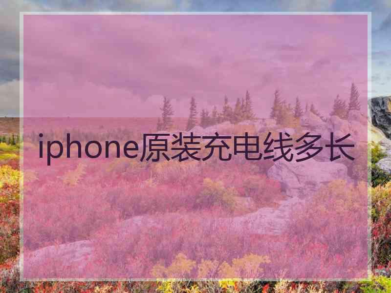 iphone原装充电线多长