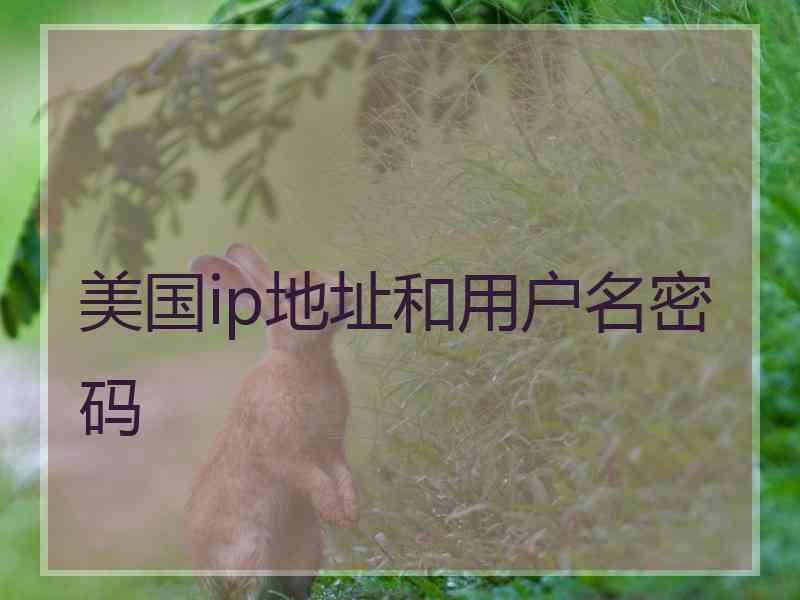 美国ip地址和用户名密码