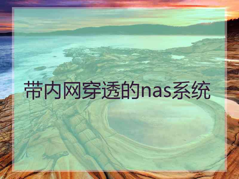 带内网穿透的nas系统