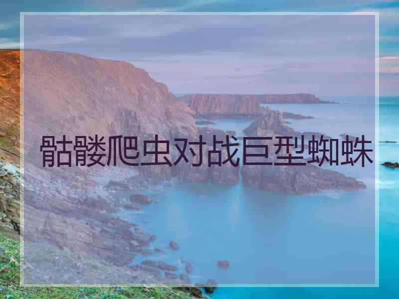 骷髅爬虫对战巨型蜘蛛