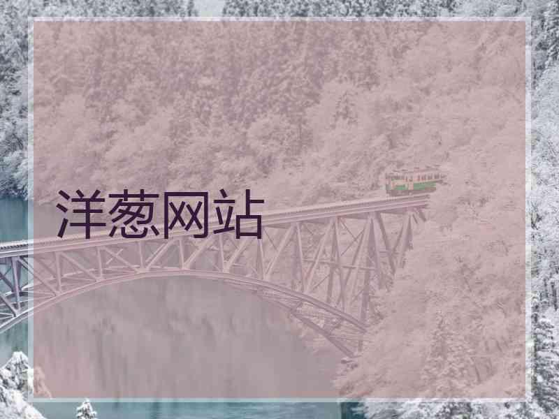 洋葱网站