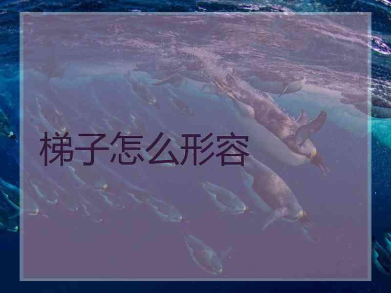 梯子怎么形容