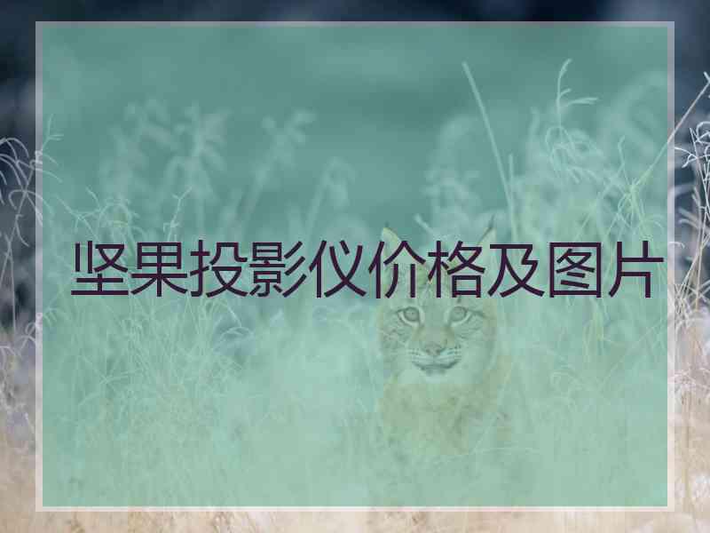 坚果投影仪价格及图片