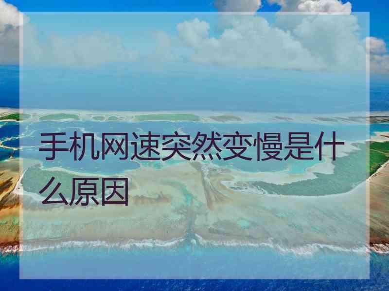 手机网速突然变慢是什么原因