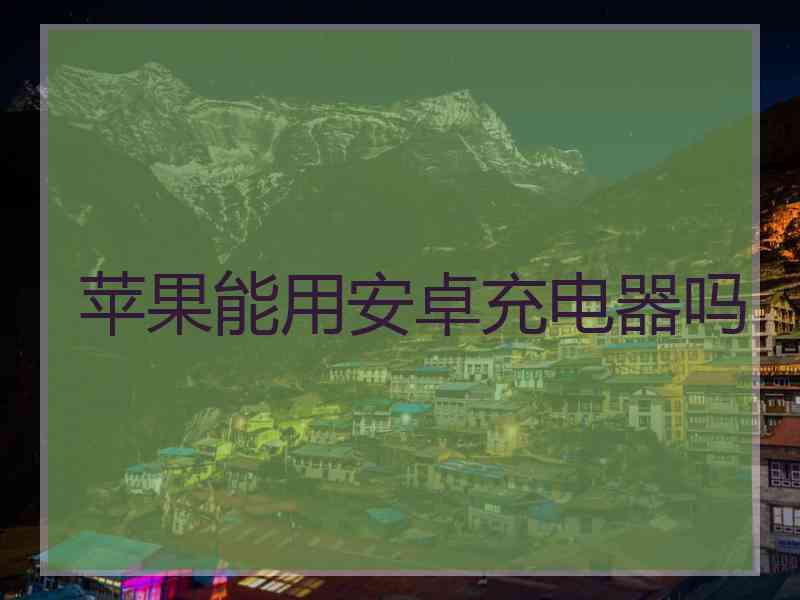 苹果能用安卓充电器吗