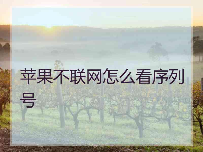 苹果不联网怎么看序列号