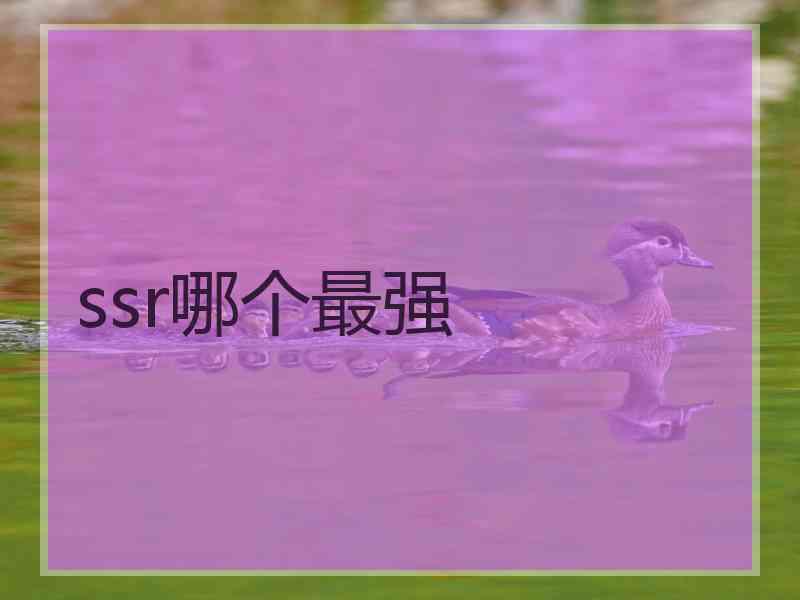 ssr哪个最强