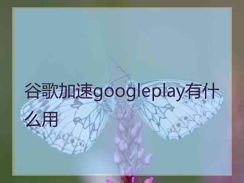 谷歌加速googleplay有什么用