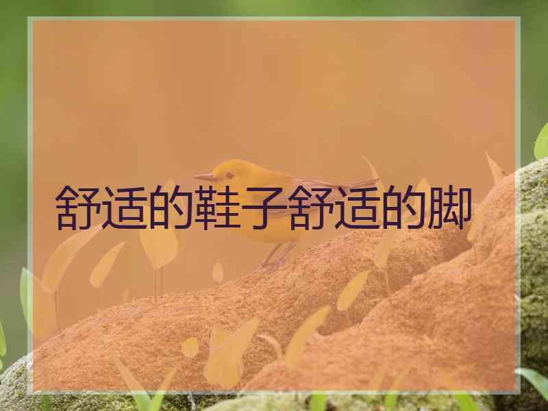 舒适的鞋子舒适的脚