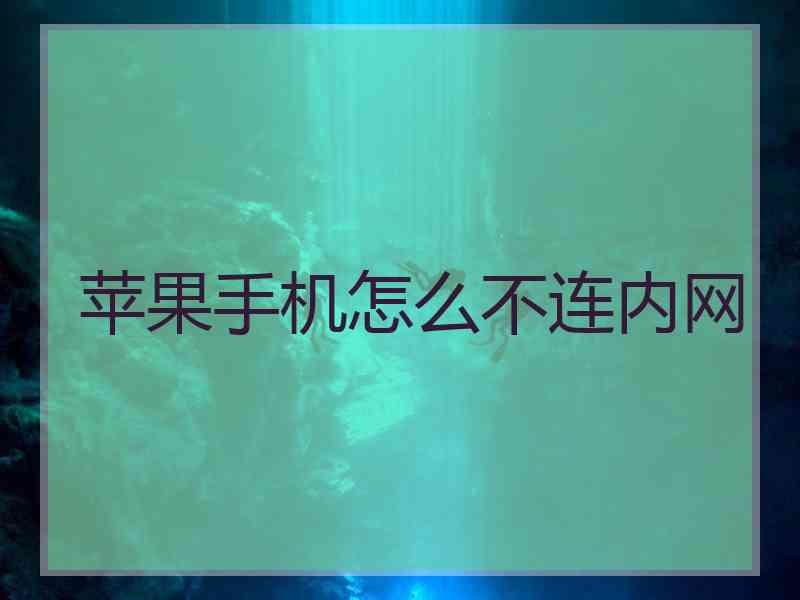 苹果手机怎么不连内网