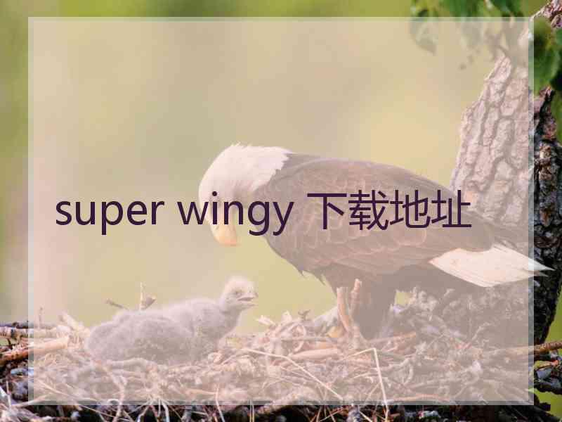 super wingy 下载地址