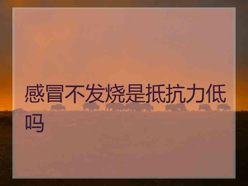 感冒不发烧是抵抗力低吗