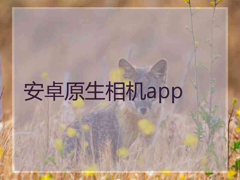 安卓原生相机app
