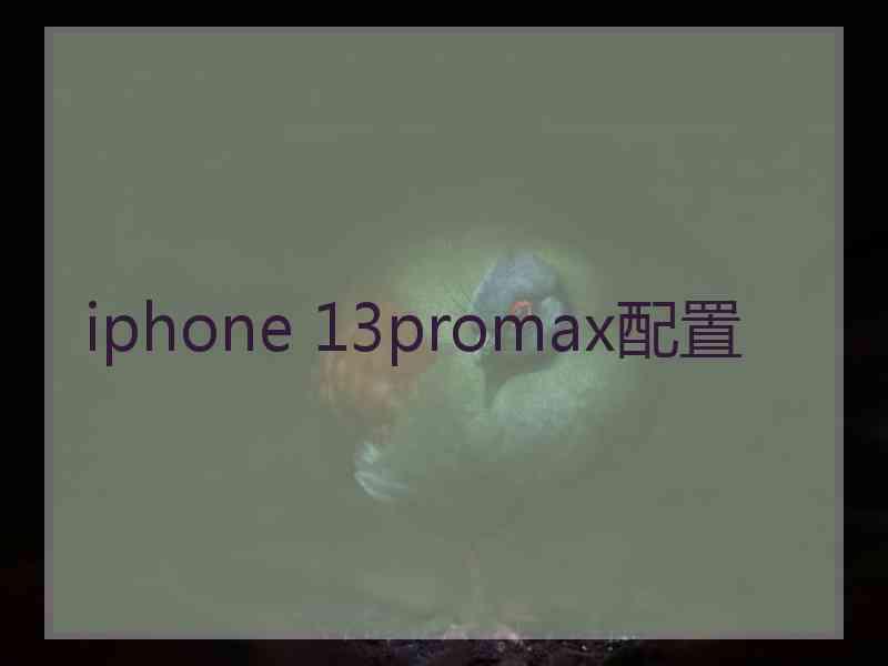 iphone 13promax配置