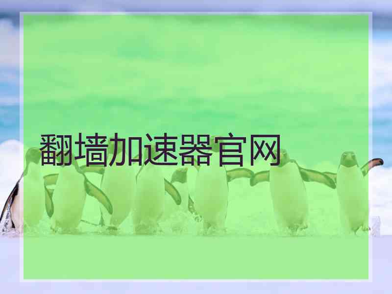 翻墙加速器官网