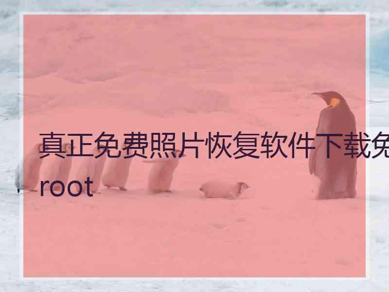 真正免费照片恢复软件下载免root
