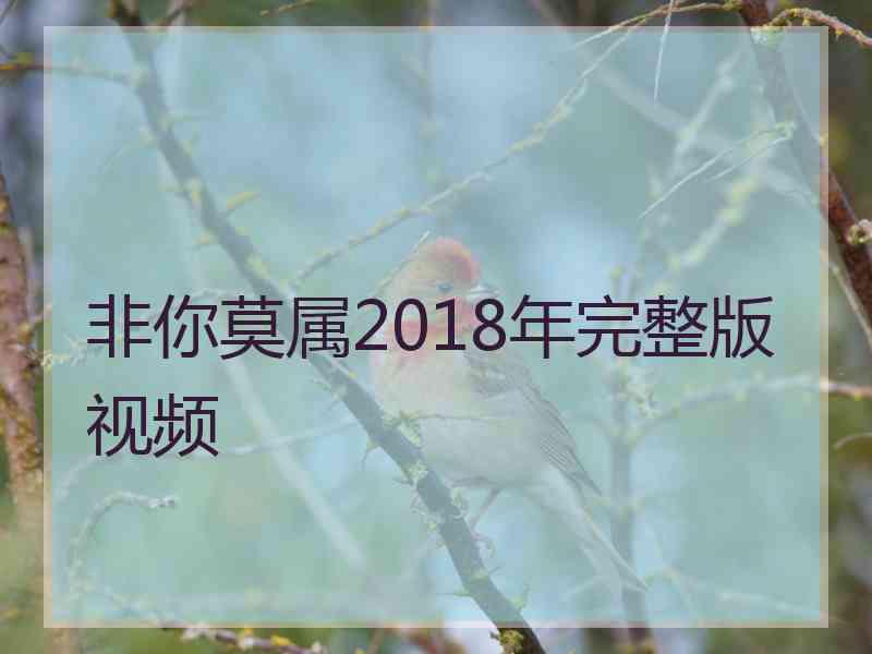 非你莫属2018年完整版视频