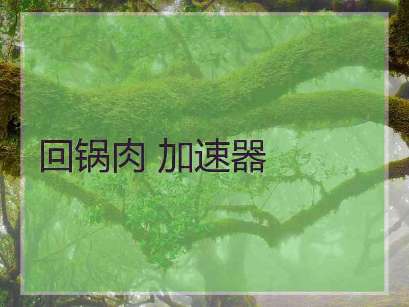 回锅肉 加速器