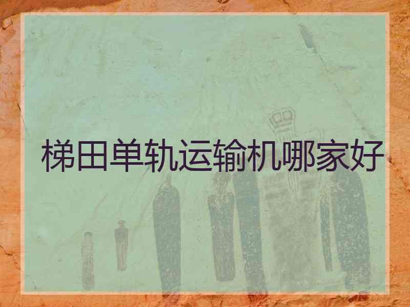 梯田单轨运输机哪家好
