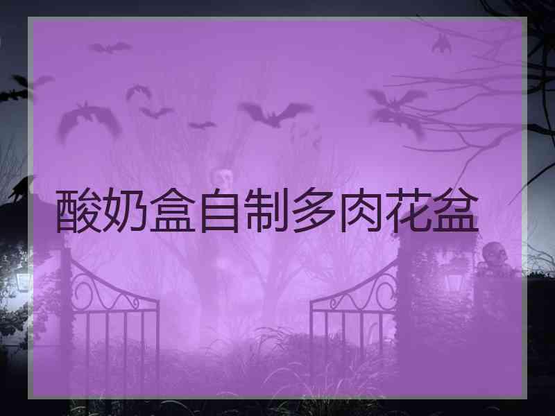 酸奶盒自制多肉花盆