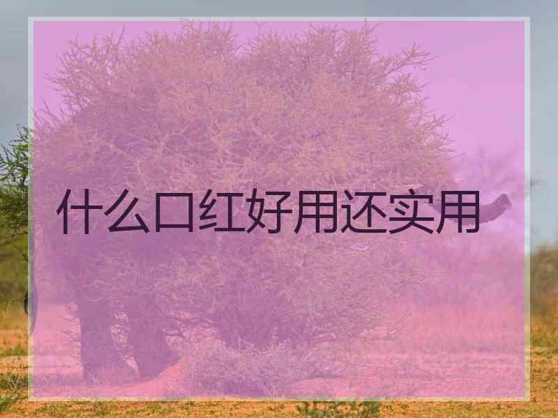 什么口红好用还实用