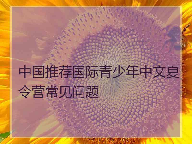 中国推荐国际青少年中文夏令营常见问题