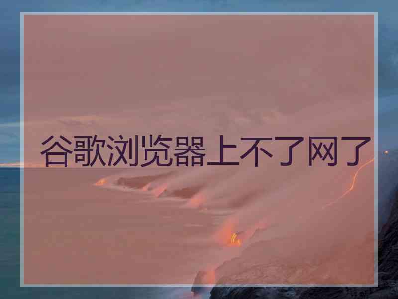 谷歌浏览器上不了网了