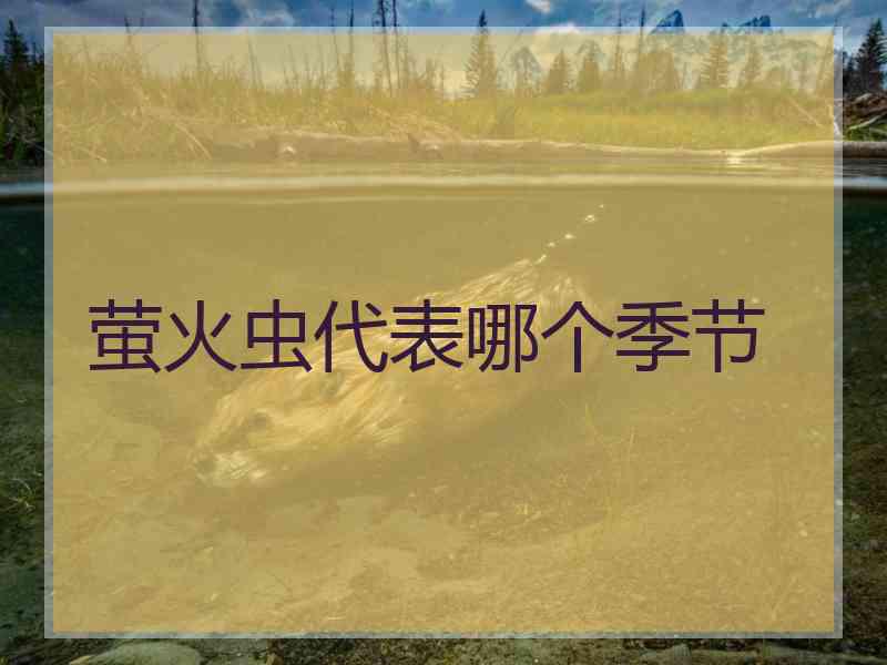 萤火虫代表哪个季节