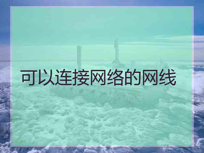 可以连接网络的网线
