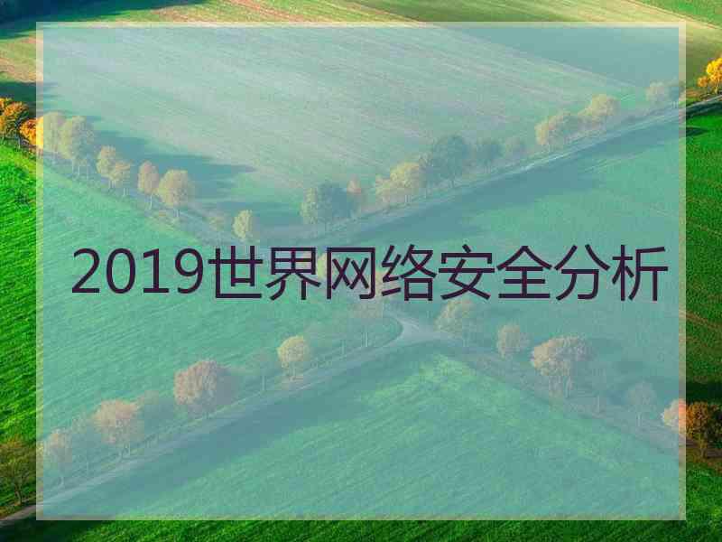 2019世界网络安全分析