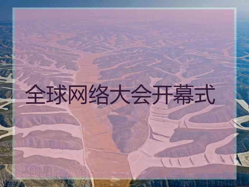 全球网络大会开幕式
