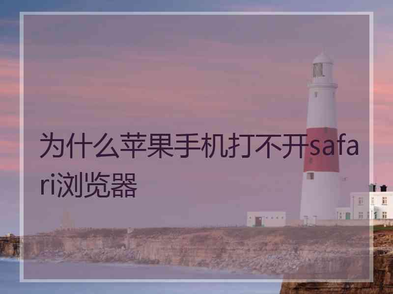 为什么苹果手机打不开safari浏览器