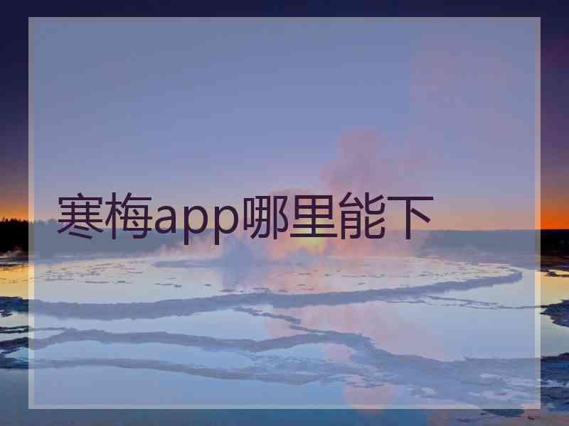 寒梅app哪里能下