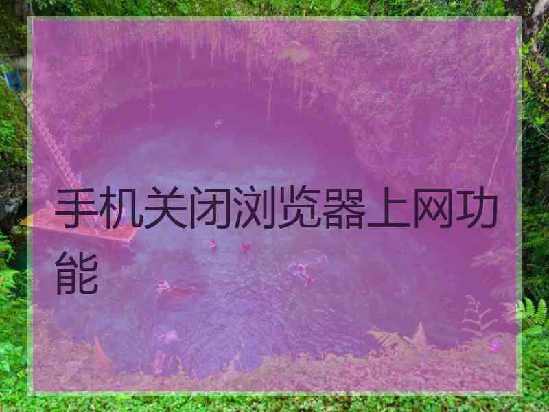 手机关闭浏览器上网功能