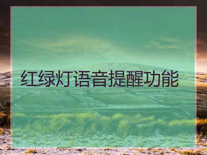 红绿灯语音提醒功能