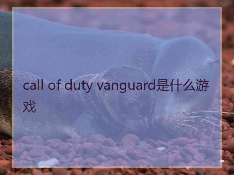 call of duty vanguard是什么游戏