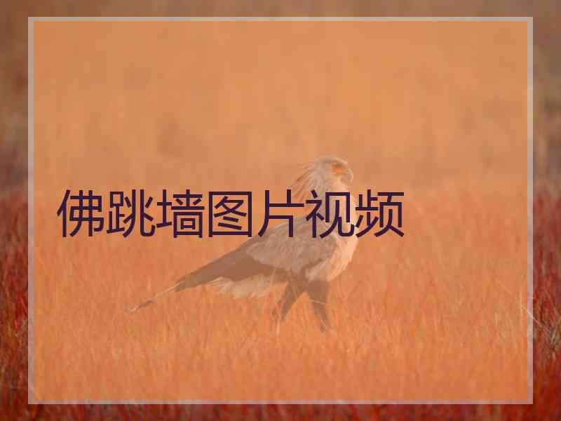 佛跳墙图片视频