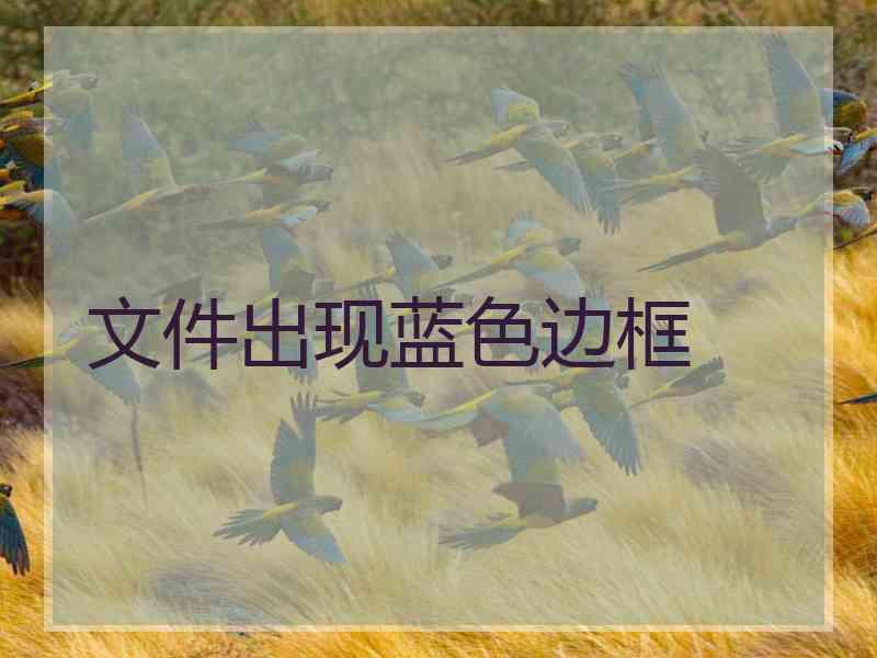 文件出现蓝色边框