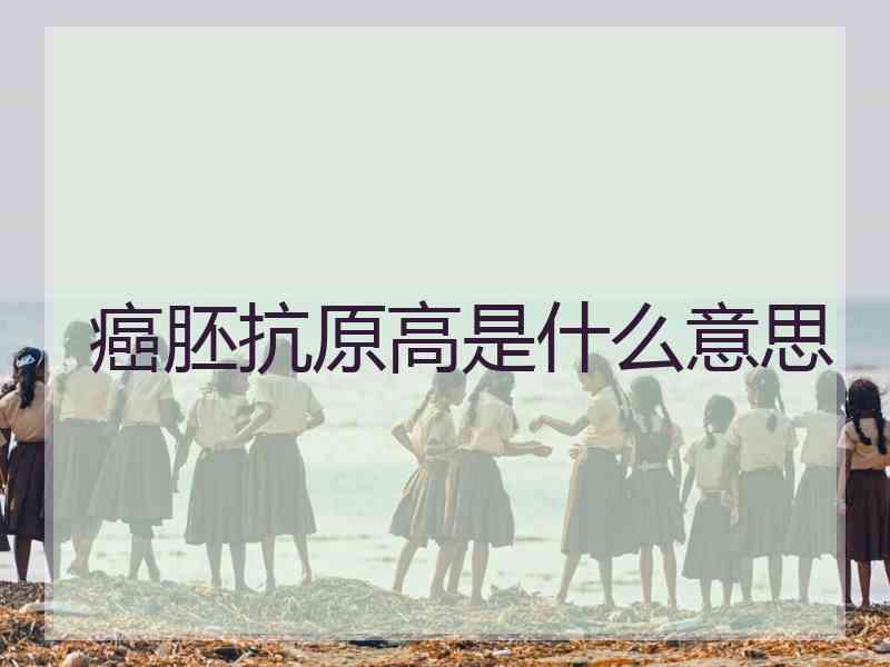 癌胚抗原高是什么意思