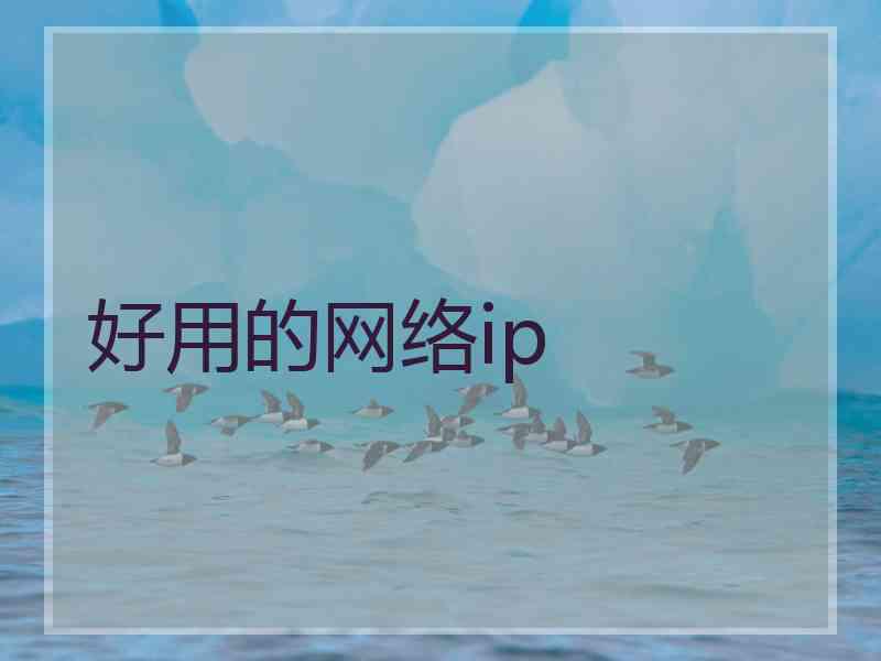 好用的网络ip